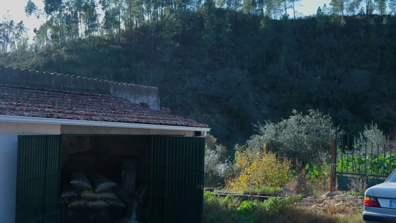 The breeze-block cottage and olive grove on the autumn hillside, a car parked outside.