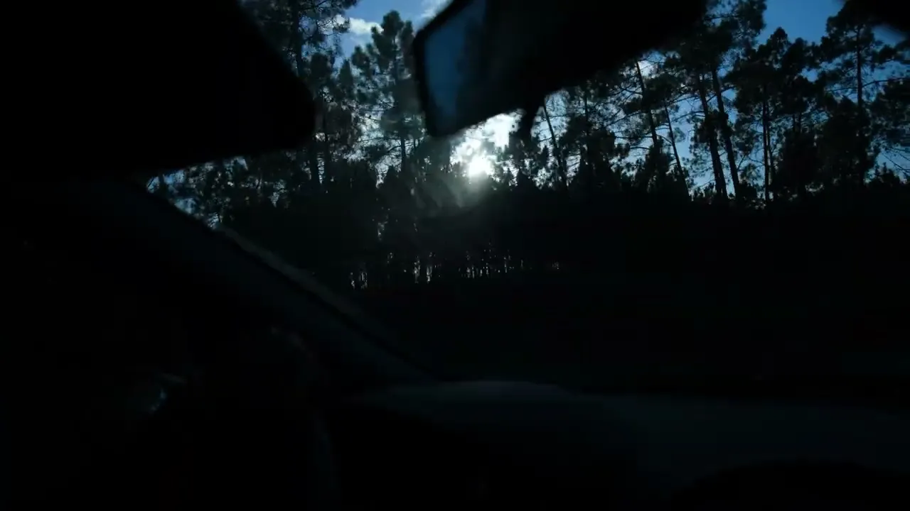 The road through a windshield, driving toward the light through the trees.